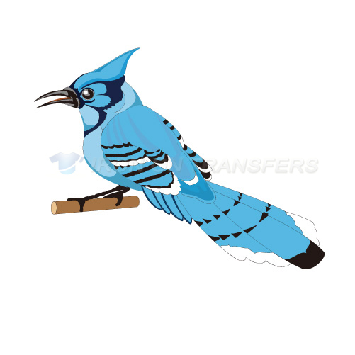 Birds Iron-on Stickers (Heat Transfers)NO.2188